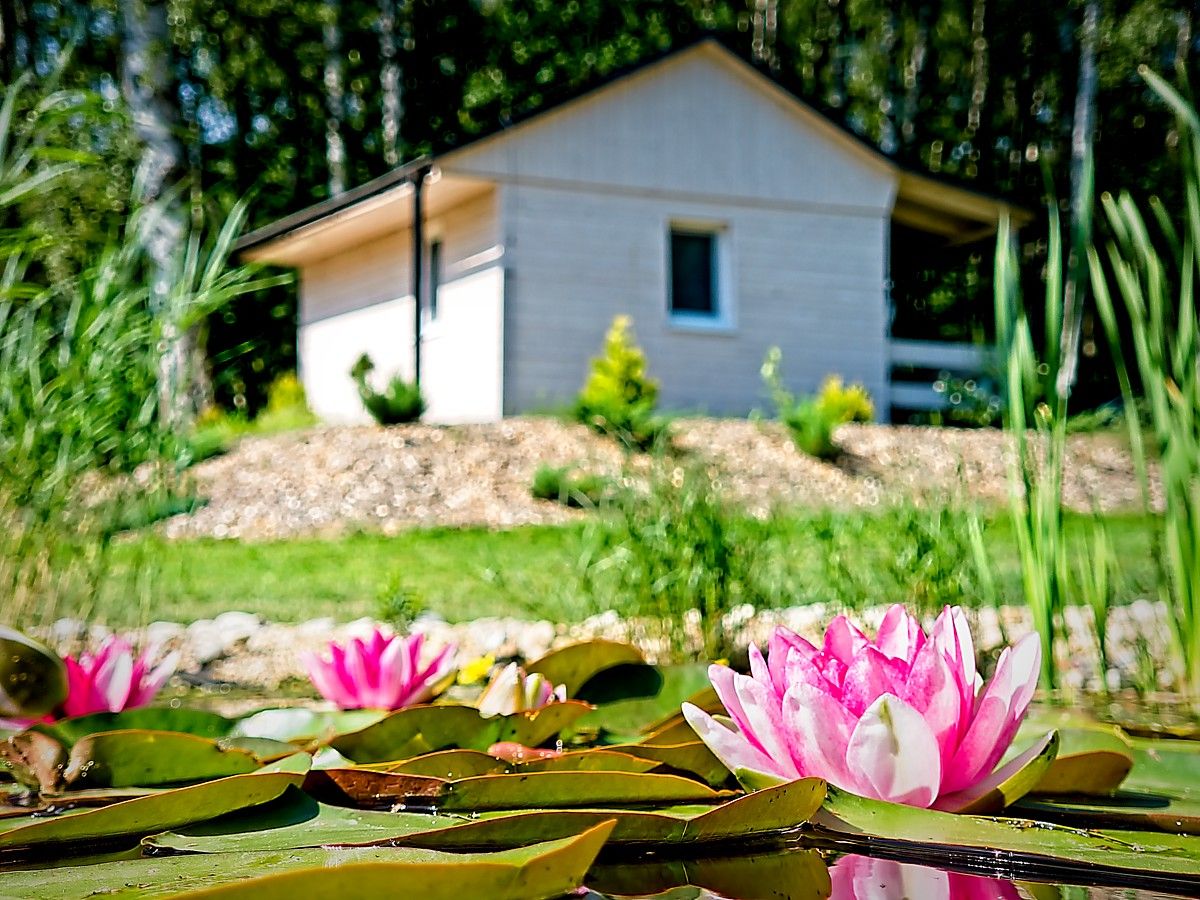 Accommodation